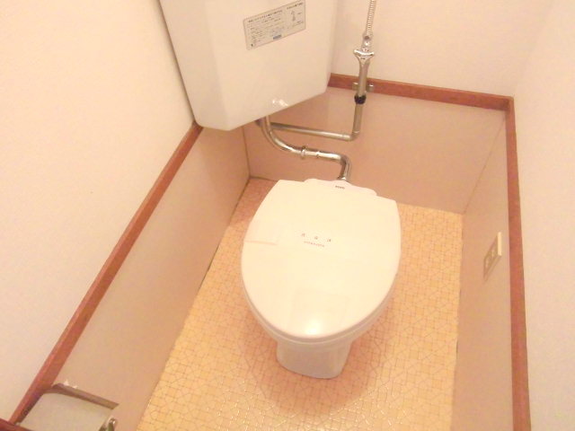 Toilet. Clean is clean already