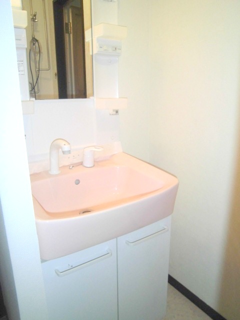 Washroom. Shampoo dresser equipped