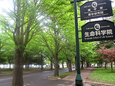 Other. Hokkaido University 1000m until (Hokkaido University) north Article 13 Gate (Other)