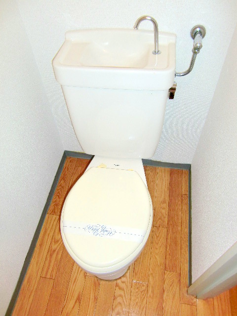 Toilet. It is beautifully cleaning being completed