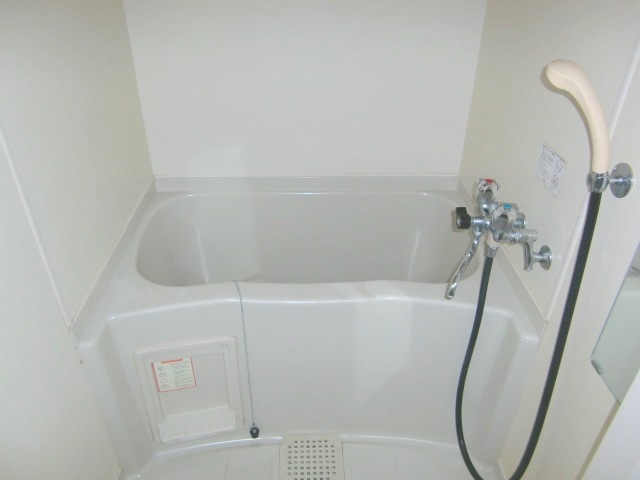 Bath. Spacious type of bath