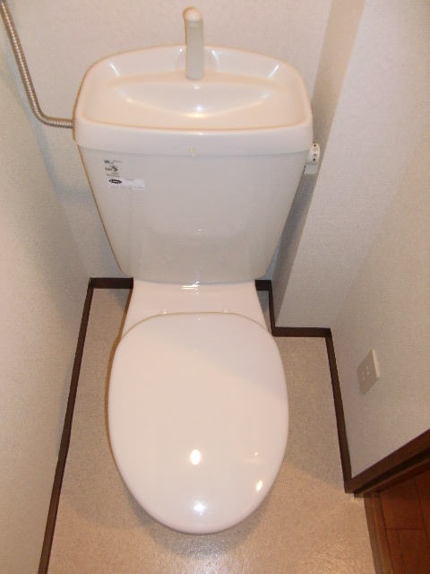 Toilet. Clean is clean already