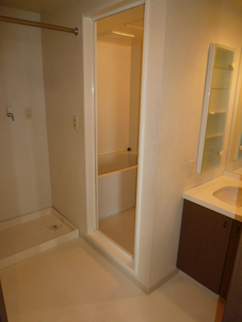 Washroom. Washing machine space also drum-type washing machine enter