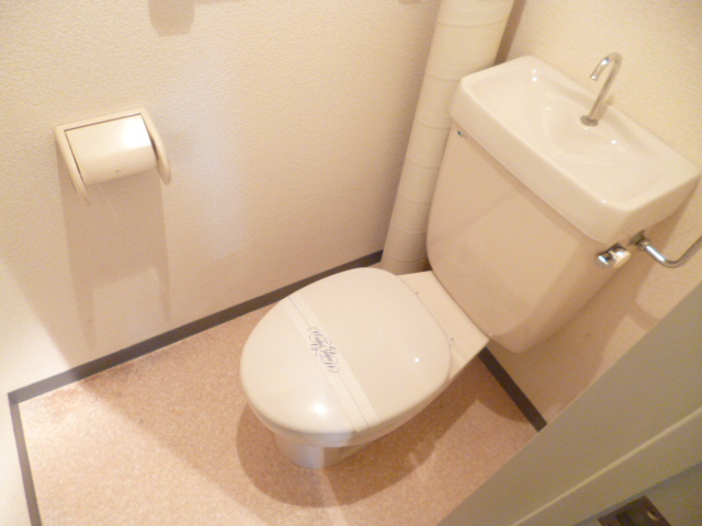 Toilet. It is a toilet with a clean. 