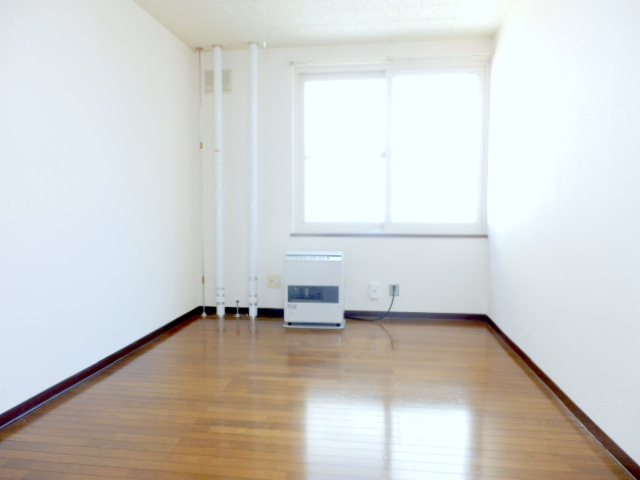 Living and room. Bright room