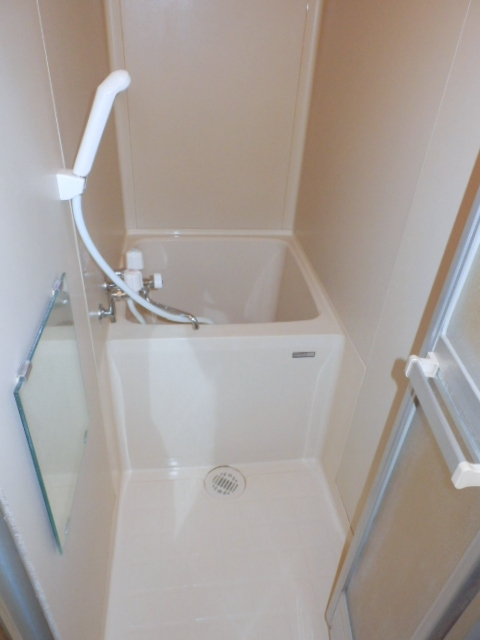 Bath. Of course, the bath and the toilet is another type