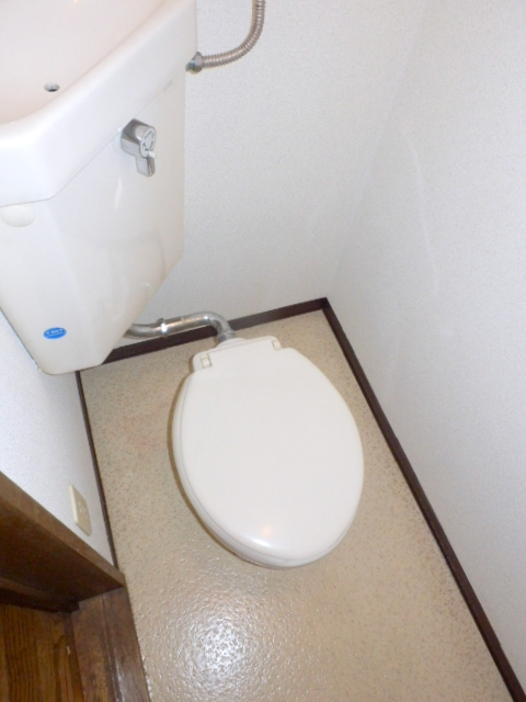 Toilet. It is beautifully cleaning being completed
