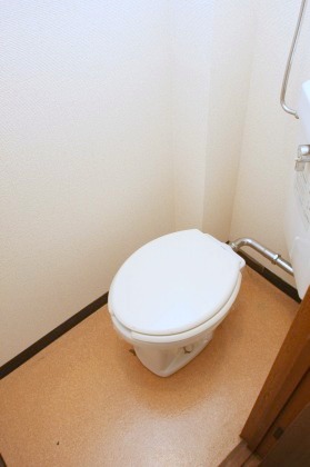 Toilet. It is beautifully cleaning being completed