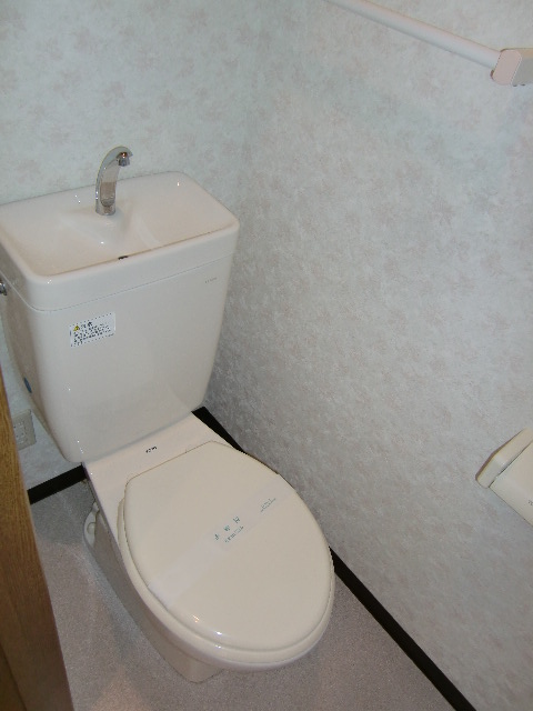 Toilet. Washlet you give