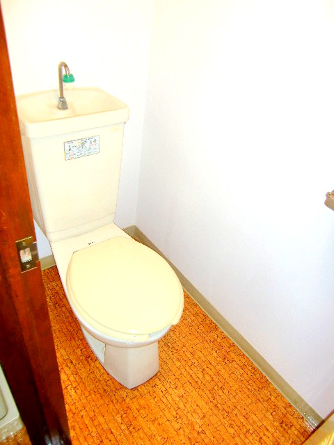 Toilet. Clean to clean already toilet