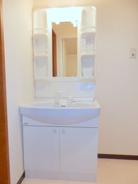 Washroom. Shampoo dresser equipped