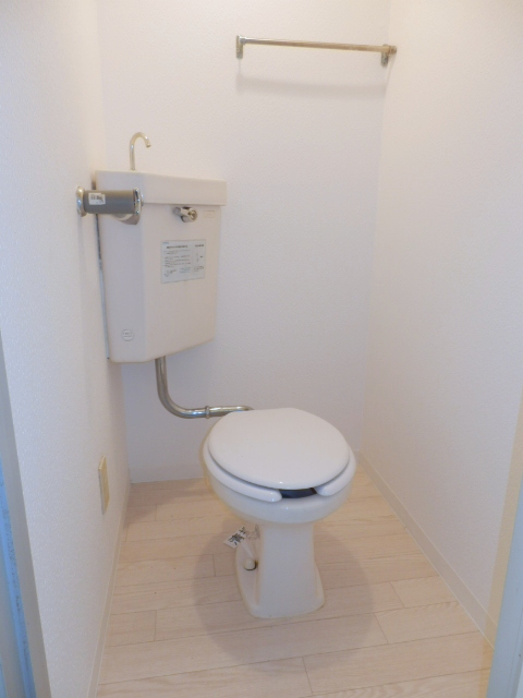 Toilet. It is beautifully cleaning being completed