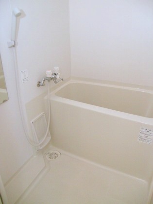 Bath. Spacious type of bath