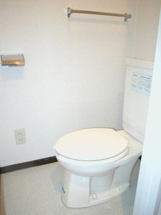 Toilet. Toilets are like this