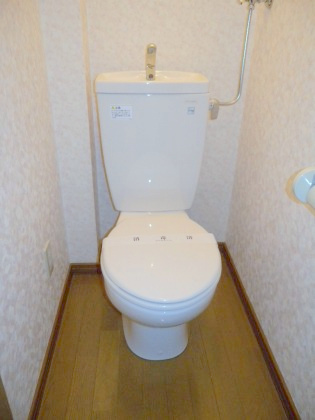 Toilet. It is beautifully cleaning being completed