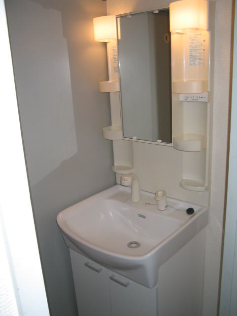 Washroom. Shampoo dresser