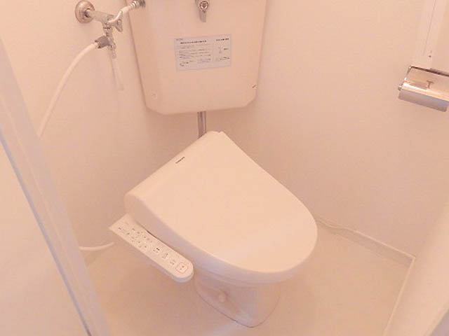 Toilet. It is a popular bidet with toilet. 