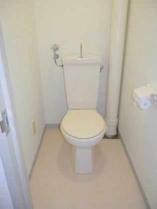 Toilet. Washlet you can also put