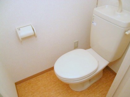 Toilet. It is beautifully cleaning being completed