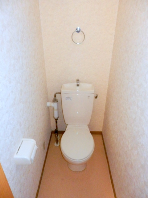 Toilet. It is beautifully cleaning being completed