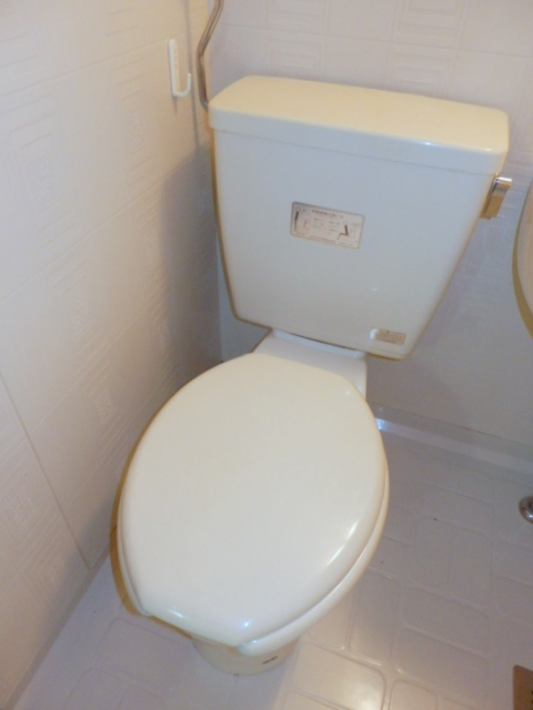 Toilet. It is beautifully cleaning being completed