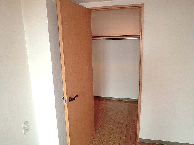 Other. Walk-in closet