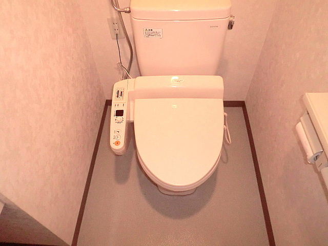 Toilet. Bidet