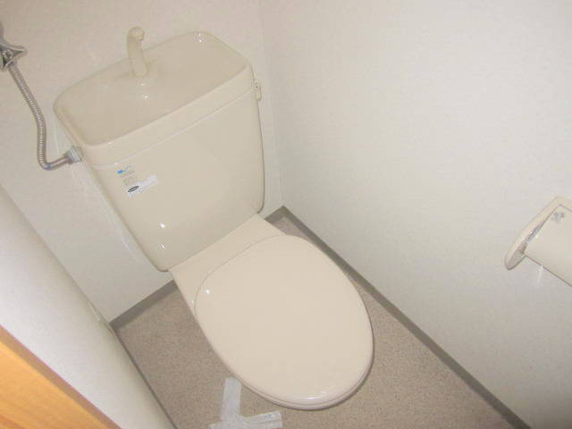 Toilet. It is a beautiful toilet