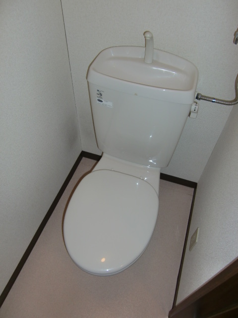 Toilet. It is beautifully cleaning being completed