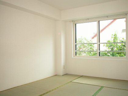 Other room space. Japanese style room