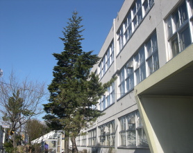 Primary school. 350m to Sapporo Municipal Mingyuan elementary school (elementary school)