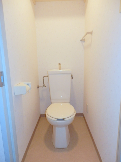 Toilet. It is beautifully cleaning being completed