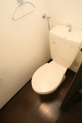 Toilet. It is the same series similar properties