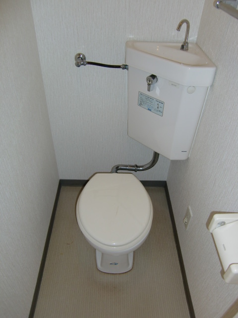 Toilet. Spacious toilet