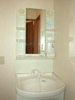 Washroom. Shampoo dresser