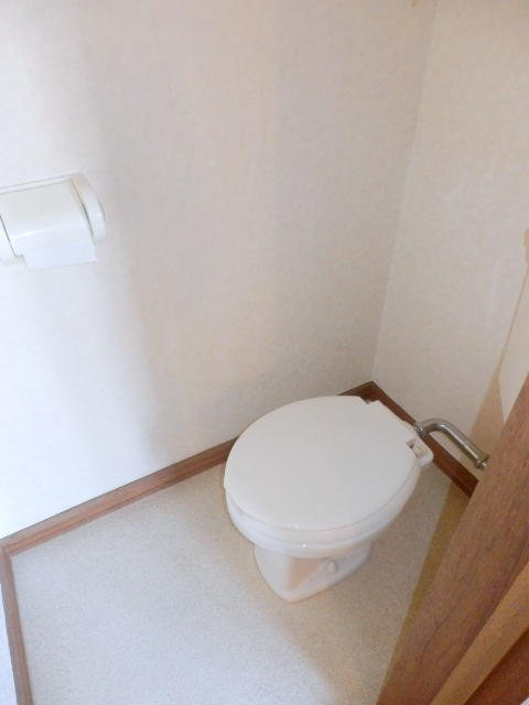 Toilet. It is beautifully cleaning being completed