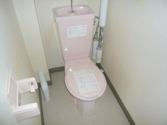 Toilet. Same property inversion type photo