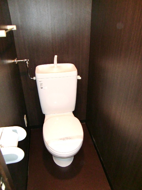 Toilet. Stylish toilet