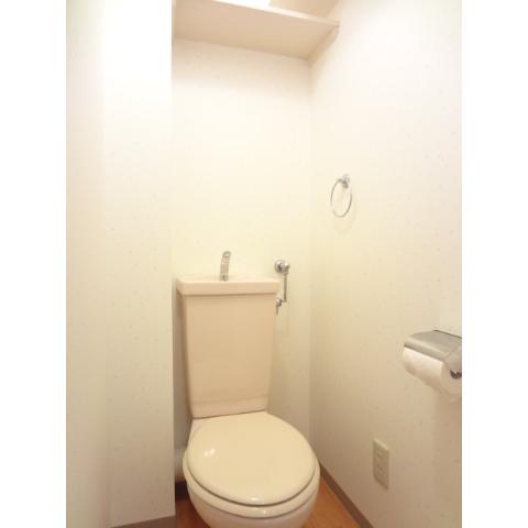 Toilet. It is a toilet with a clean!