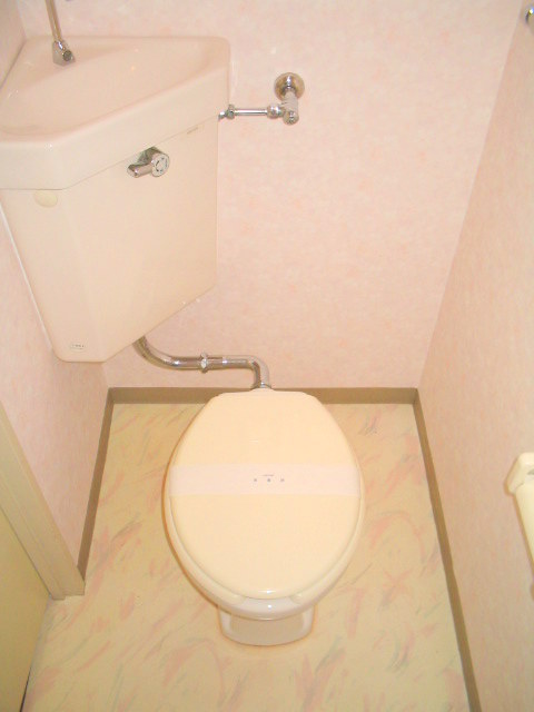 Toilet. Beautiful toilet