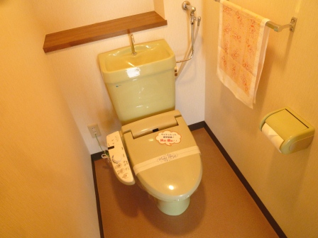 Toilet