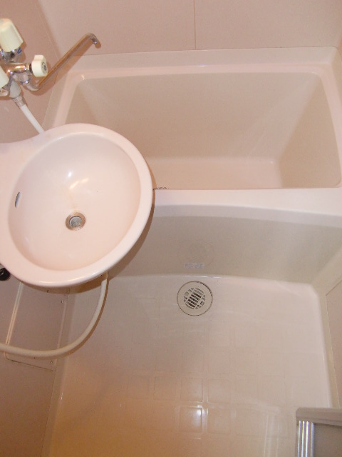 Bath. It is with wash basin