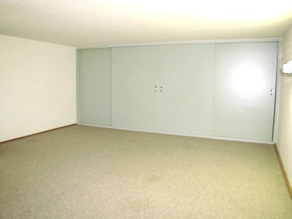 Other room space. It is a loft part spacious