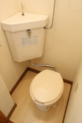 Toilet. Cleaning pre-clean toilet