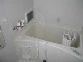 Bath. Bathroom