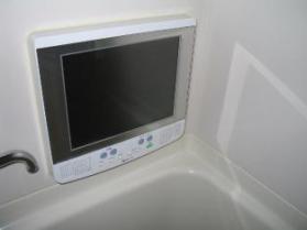 Other. Bathroom TV