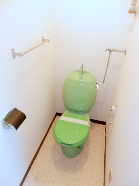 Toilet. It is beautifully cleaning being completed