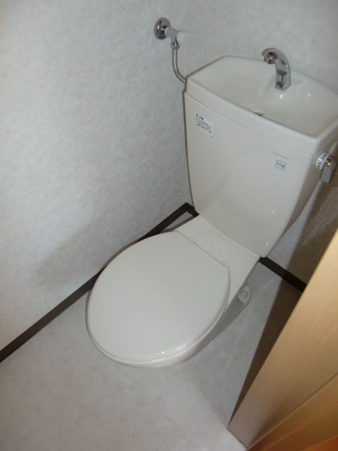 Toilet. It is beautifully cleaning being completed