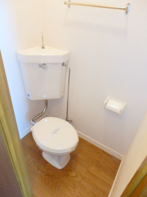 Toilet. It is beautifully cleaning being completed