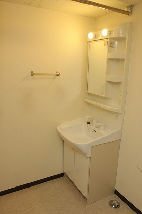 Washroom. Spacious dressing room